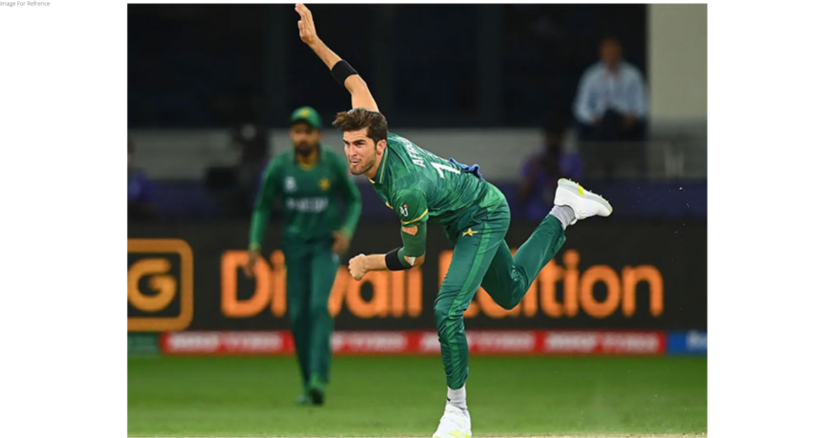 Shaheen now holds the key: Ricky Ponting names key player that can lead Pakistan to T20 World Cup glory